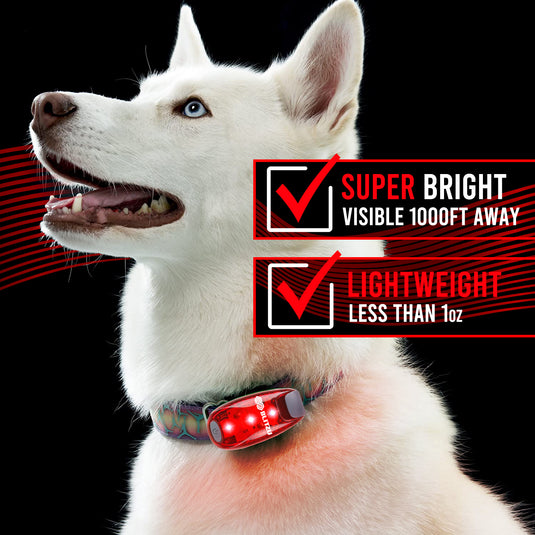 4 Pack LED Safety Lights Gear for Kids, Women & Men. Great for Bike Tail Light, Kayak, Dog Collar, Stroller, Walking, Boat, Runners, Night Running Blinking Warning Reflective Light Accessories