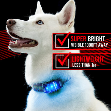 Load image into Gallery viewer, 4 Pack LED Safety Lights Gear for Kids, Women & Men. Great for Bike Tail Light, Kayak, Dog Collar, Stroller, Walking, Boat, Runners, Night Running Blinking Warning Reflective Light Accessories