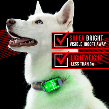 Load image into Gallery viewer, 4 Pack LED Safety Lights Gear for Kids, Women & Men. Great for Bike Tail Light, Kayak, Dog Collar, Stroller, Walking, Boat, Runners, Night Running Blinking Warning Reflective Light Accessories