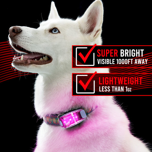 4 Pack LED Safety Lights Gear for Kids, Women & Men. Great for Bike Tail Light, Kayak, Dog Collar, Stroller, Walking, Boat, Runners, Night Running Blinking Warning Reflective Light Accessories