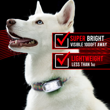 Load image into Gallery viewer, 4 Pack LED Safety Lights Gear for Kids, Women &amp; Men. Great for Bike Tail Light, Kayak, Dog Collar, Stroller, Walking, Boat, Runners, Night Running Blinking Warning Reflective Light Accessories
